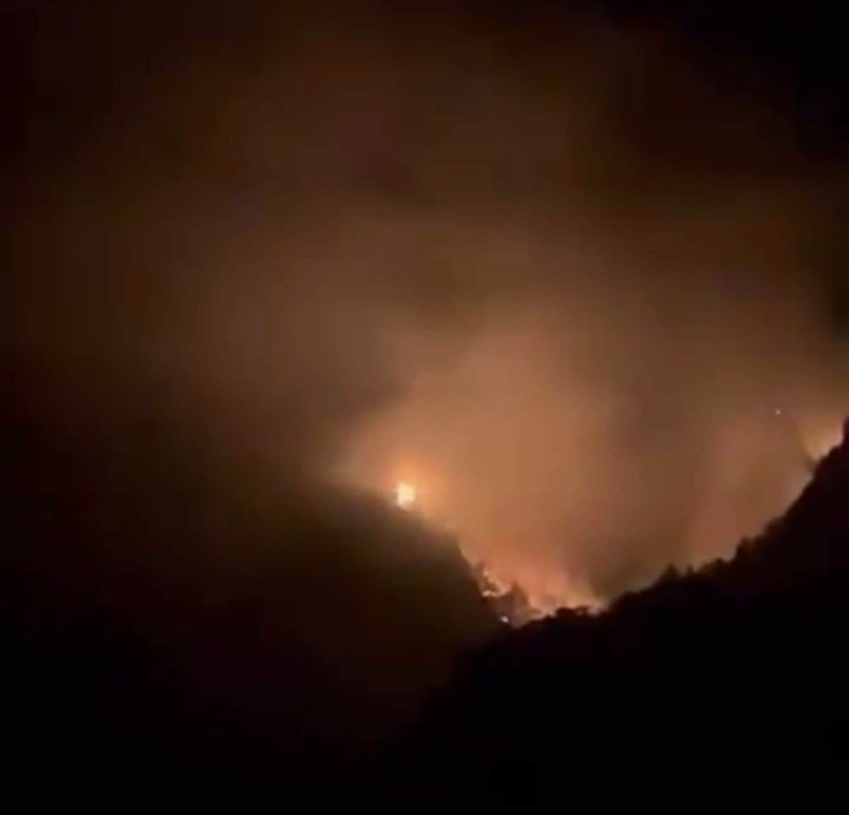 Karaisalı’da ormanlık alanda yangın