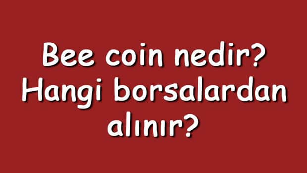 Bee coin nedir? Hangi borsalardan alınır? Bee Token ne zaman çıktı? Ne iş yapar?