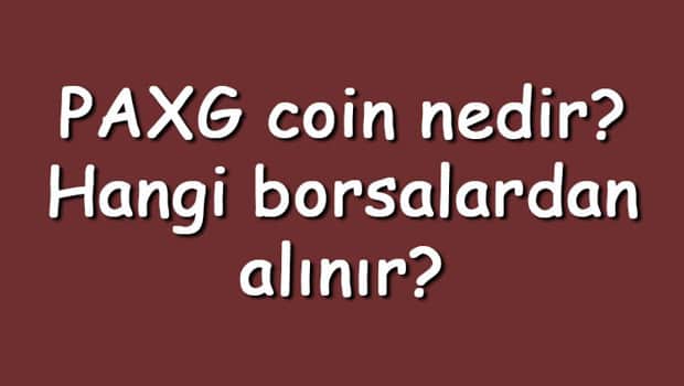 PAXG coin nedir? Hangi borsalardan alınır? PAX Gold ne zaman çıktı? Ne iş yapar?