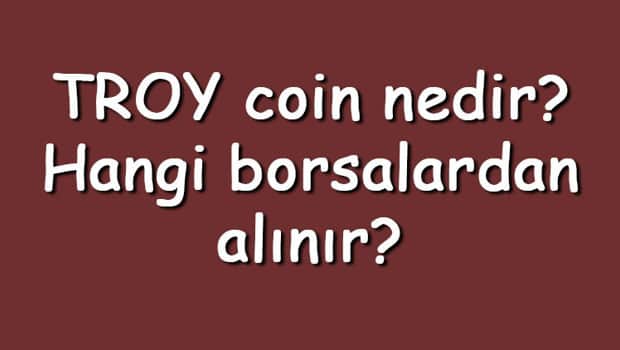 TROY coin nedir? Hangi borsalardan alınır? TROY ne zaman çıktı? Ne iş yapar?
