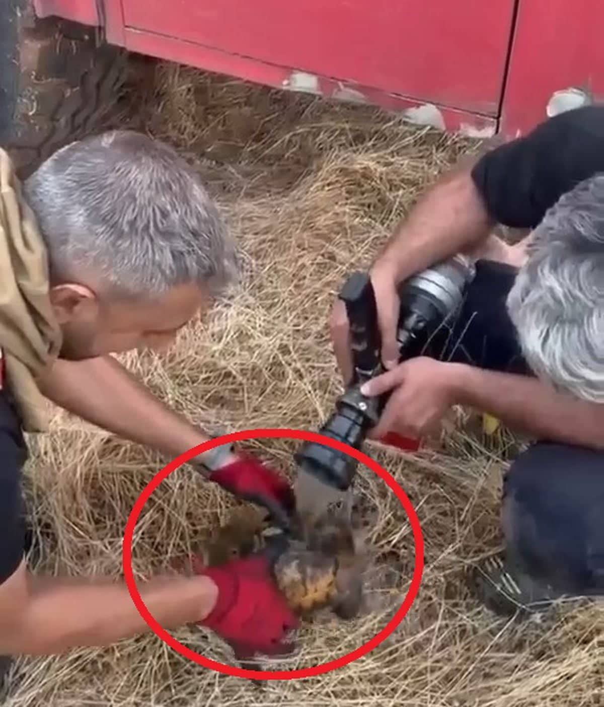 Lice kırsalında örtü yangını