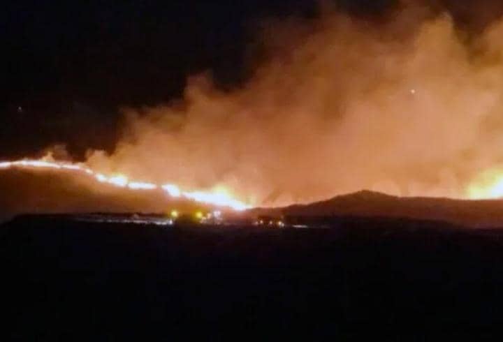 Adıyaman'da korkutan yangın! Alevler ormanlık alana sıçradı