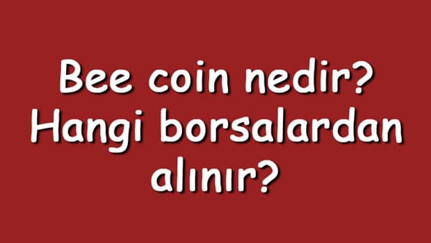Bee coin nedir? Hangi borsalardan alınır? Bee Token ne zaman çıktı? Ne iş yapar?