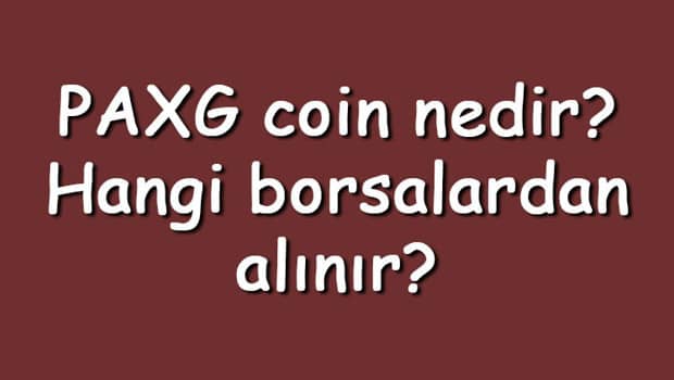 PAXG coin nedir? Hangi borsalardan alınır? PAX Gold ne zaman çıktı? Ne iş yapar?