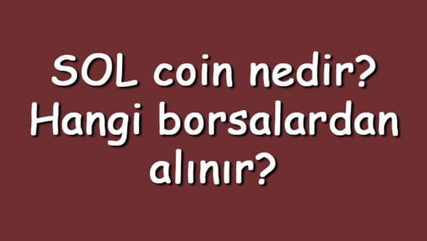 SOL coin nedir? Hangi borsalardan alınır? Solana ne zaman çıktı? Ne iş yapar?