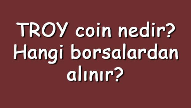 TROY coin nedir? Hangi borsalardan alınır? TROY ne zaman çıktı? Ne iş yapar?