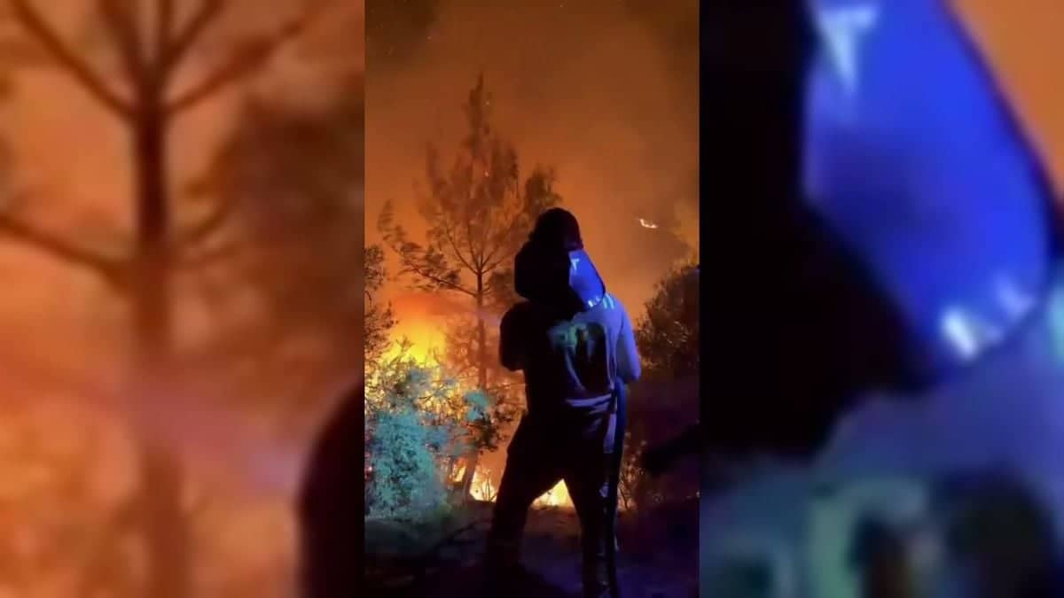 OGM: Antalya ve Mersin’deki üç yangının enerjisi düşürüldü, Adana Kozan’da müdahale sürüyor OGM: Antalya ve Mersin’deki üç yangının enerjisi düşürüldü, Adana Kozan’da müdahale sürüyor