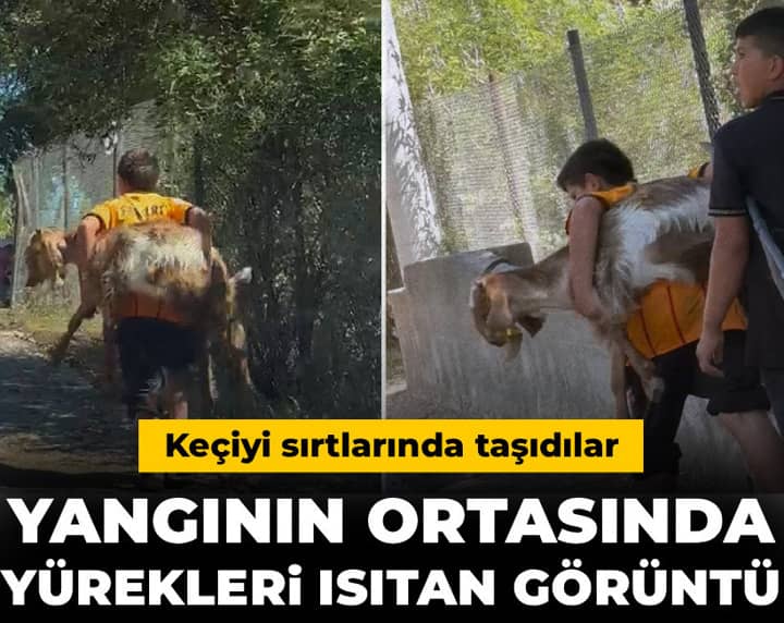 Yangının ortasında yürekleri ısıtan görüntü: Keçiyi sırtlarında taşıdılar Yangının ortasında yürekleri ısıtan görüntü: Keçiyi sırtlarında taşıdılar